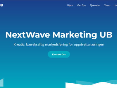 Jeg lager en komplett nettside til din bedrift med SEO optimalisering